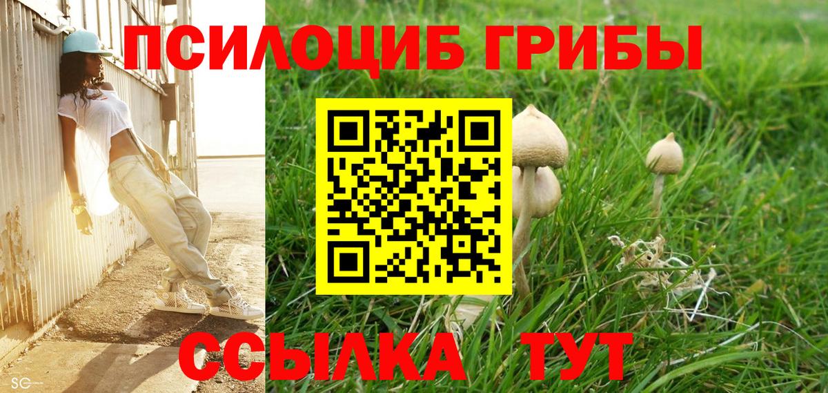 Псилоцибиновые грибы GOLDEN TEACHER Алейск